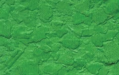 mnvn6ah0wa6lio7lo2f6bv0nliu74ol1