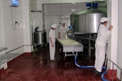 MI-9_Parshevitsa_Milk_Sofia_2002_2004_02